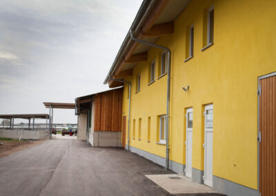 Melkhaus mit Abkalbestall und Treibeweg