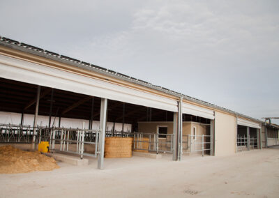 MVS Hohenroda: Abkalbestall