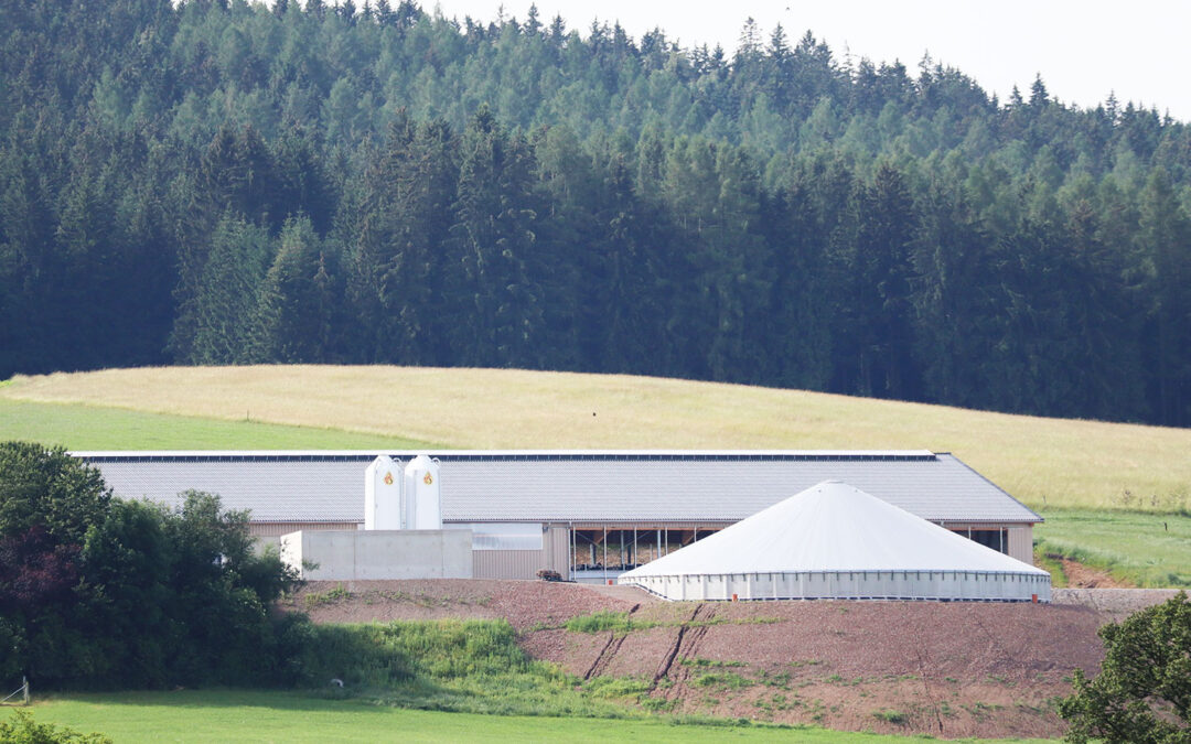 Landwirtschaftsbetrieb Döhler: Neubau Milchviehstall, Dungplatte und Güllebehälter